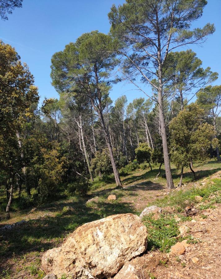 Les Hauts Du Peireguier Ла-Мот Экстерьер фото
